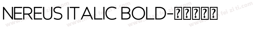 Nereus Italic Bold字体转换